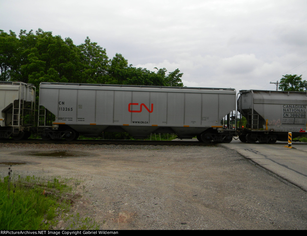 CN 113265 is new to RRPA!